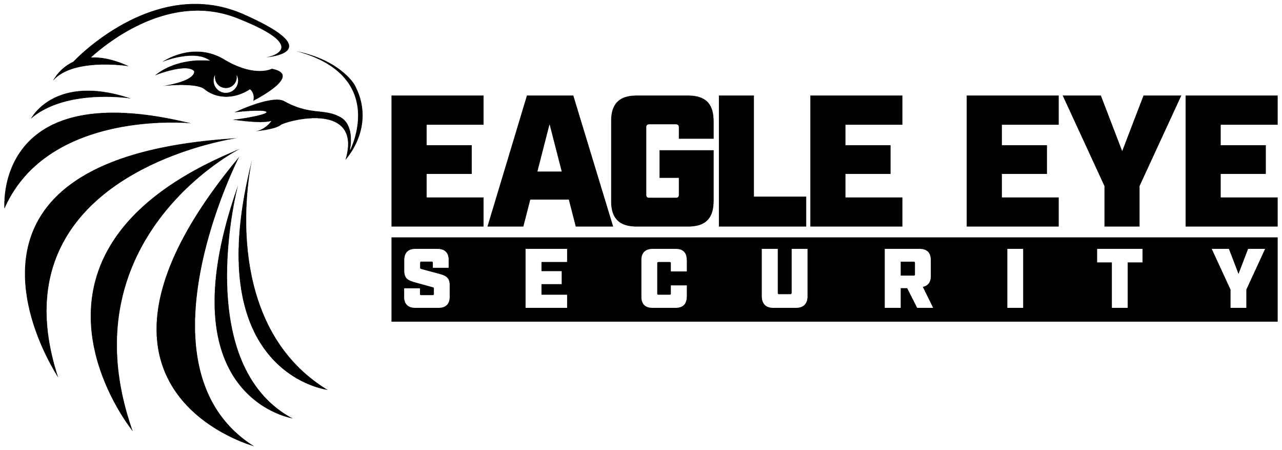 Eagle Eye Security Logo